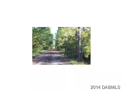 454 Needles Dr, Ormond Beach, FL 32174 photo 4