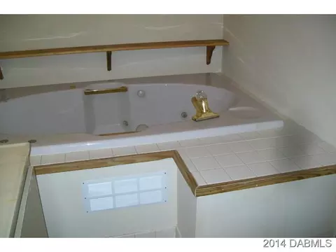 2731 Umbrella Tree Dr, Edgewater, FL 32141 photo 11
