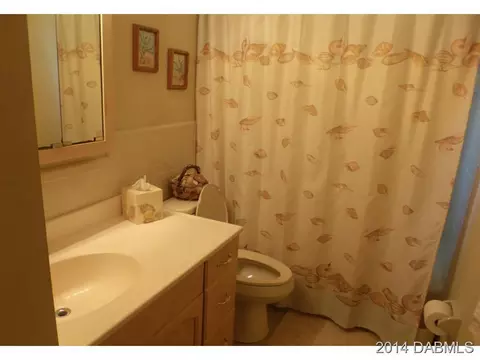11 Sandra Dr, Ormond Beach, FL 32176 photo 19