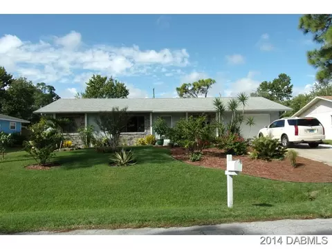 2824 Unity Tree Dr, Edgewater, FL 32141 photo 1