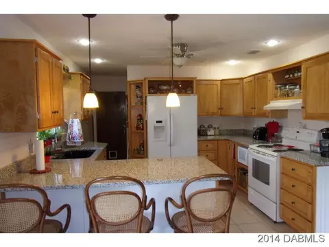 2824 Unity Tree Dr, Edgewater, FL 32141 photo 3