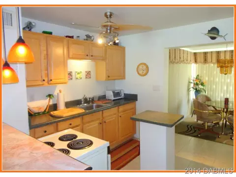 20 Seacrest Dr, Ormond Beach, FL 32176 photo 2