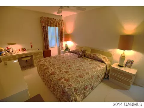 20 Raintree Ln, Ormond Beach, FL 32174 photo 15