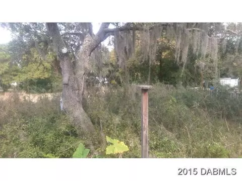 211 Hernandez Ave, Ormond Beach, FL 32174 photo 23