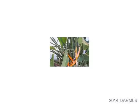 107 Riverview Dr, Edgewater, FL 32132 photo 20