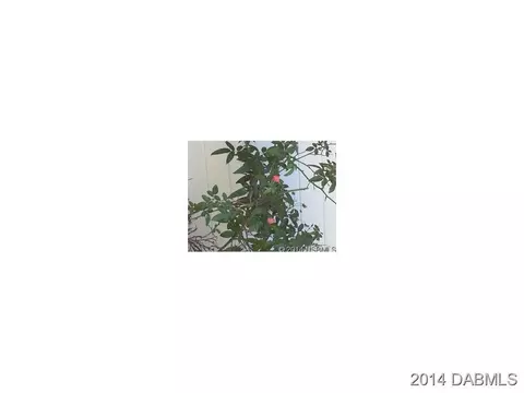 107 Riverview Dr, Edgewater, FL 32132 photo 21