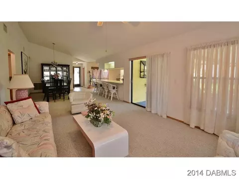 2820 Orange Tree Dr, Edgewater, FL 32141 photo 4