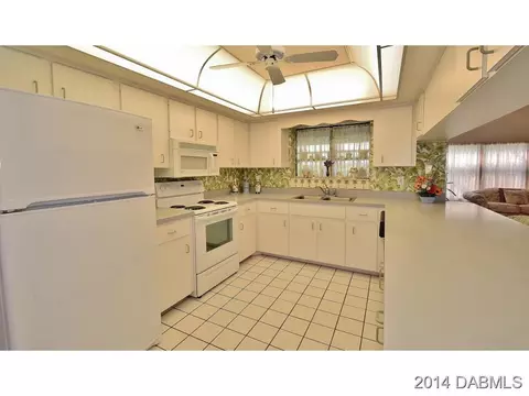 2820 Orange Tree Dr, Edgewater, FL 32141 photo 8