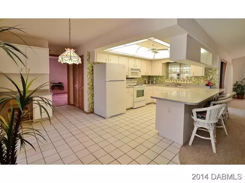2820 Orange Tree Dr, Edgewater, FL 32141 photo 9