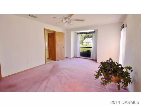 2820 Orange Tree Dr, Edgewater, FL 32141 photo 12