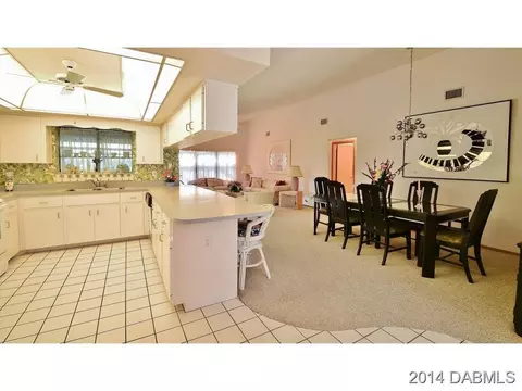 2820 Orange Tree Dr, Edgewater, FL 32141 photo 7