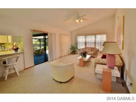 2820 Orange Tree Dr, Edgewater, FL 32141 photo 3