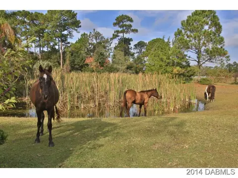 570 Leeway Trl, Ormond Beach, FL 32174 photo 24