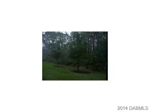 1333 Hansberry Ln, Ormond Beach, FL 32174 photo 22