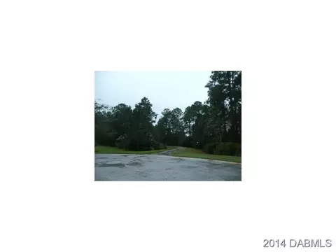 1333 Hansberry Ln, Ormond Beach, FL 32174 photo 24