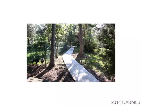 218 Treeline Ln, Ormond Beach, FL 32174 photo 13