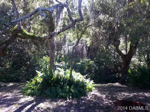 12 Winding Woods Trl, Ormond Beach, FL 32174 photo 20