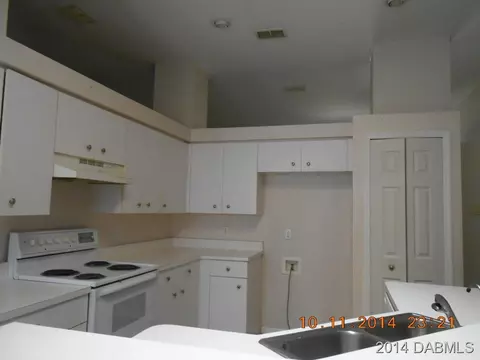 3230 Needle Palm Dr, Edgewater, FL 32141 photo 2