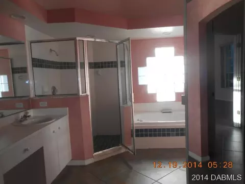 3230 Needle Palm Dr, Edgewater, FL 32141 photo 5