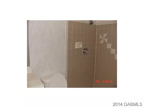 3036 Lime Tree Dr, Edgewater, FL 32141 photo 9