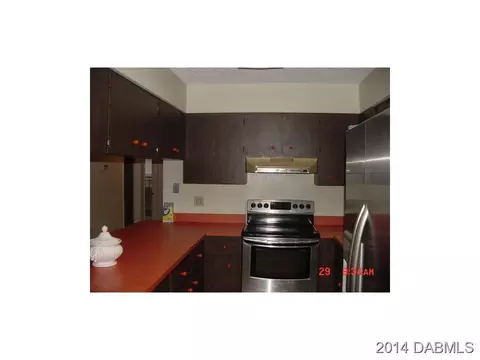 3036 Lime Tree Dr, Edgewater, FL 32141 photo 4