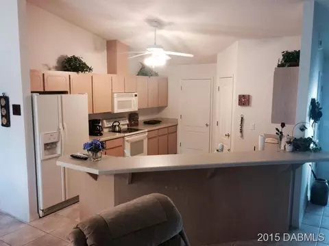 1513 Willow Oak Dr, Edgewater, FL 32132 photo 4
