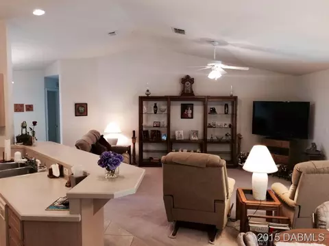 1513 Willow Oak Dr, Edgewater, FL 32132 photo 3