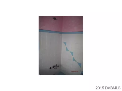 315 Joan St, Edgewater, FL 32132 photo 4
