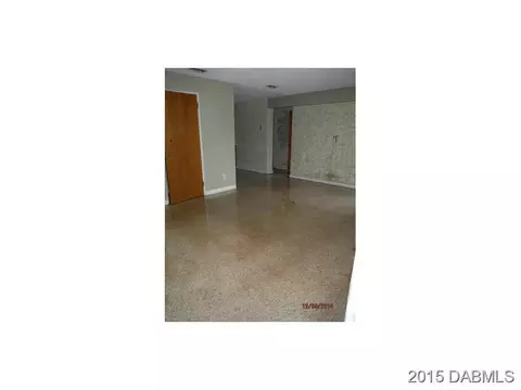 315 Joan St, Edgewater, FL 32132 photo 6