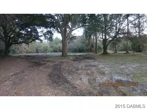609 Catherine St, Bunnell, FL 32110 photo 4