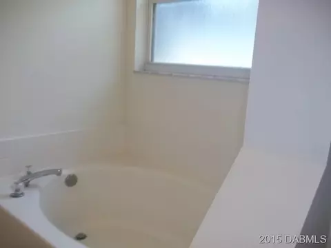 2317 Orange Tree Dr, Edgewater, FL 32141 photo 11