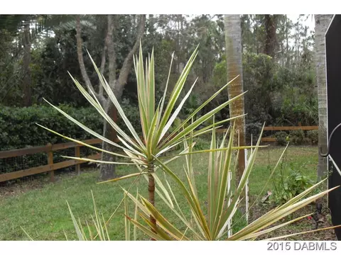 6 Meadowfield Ct, Ormond Beach, FL 32174 photo 22
