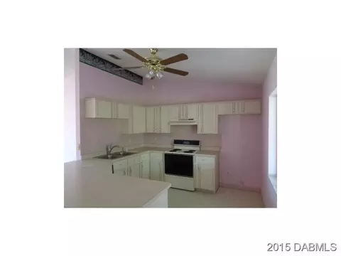1316 Umbrella Tree Dr, Edgewater, FL 32132 photo 7