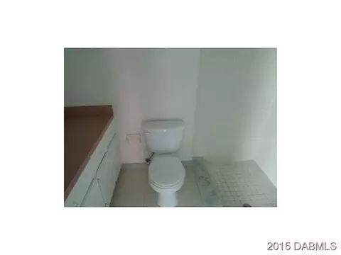 1316 Umbrella Tree Dr, Edgewater, FL 32132 photo 9