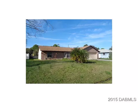 1316 Umbrella Tree Dr, Edgewater, FL 32132 photo 1