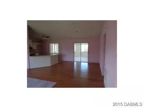 1316 Umbrella Tree Dr, Edgewater, FL 32132 photo 6
