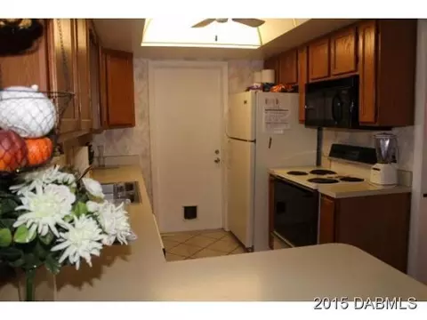 371 Tulip Tree Ln, Ormond Beach, FL 32174 photo 8