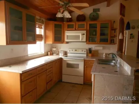20 Tropical Dr, Ormond Beach, FL 32176 photo 4