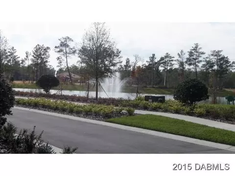 282 E River Vale Ln, Ormond Beach, FL 32174 photo 10
