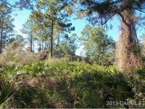 4 Eastern Pl, Palm Coast, FL 32164 photo 5