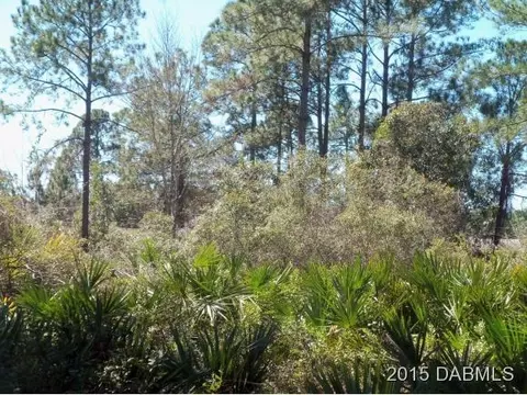 4 Eastern Pl, Palm Coast, FL 32164 photo 8