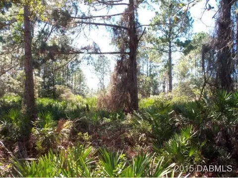 4 Eastern Pl, Palm Coast, FL 32164 photo 4
