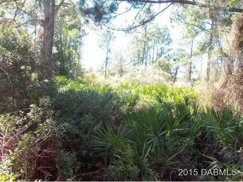 4 Eastern Pl, Palm Coast, FL 32164 photo 7