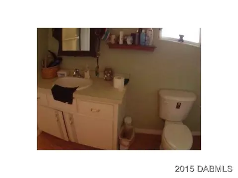 2722 Needle Palm Dr, Edgewater, FL 32141 photo 5