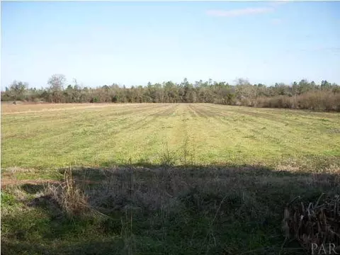 2069 Brownsdale Loop Rd, Jay, FL 32565 photo 2