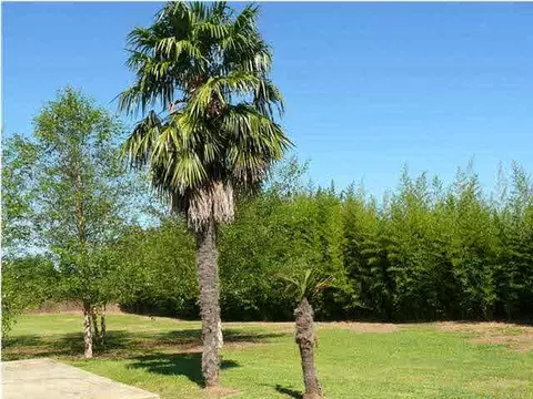 7110 Hwy 4, Jay, FL 32565 photo 21