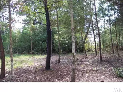 3676 Greenwood Rd, Jay, FL 32565 photo 6