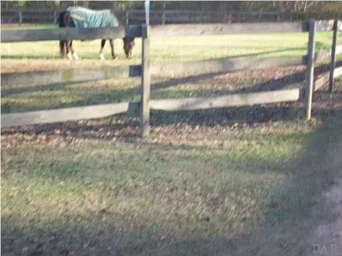 3900 Macks Rd, Century, FL 32535 photo 7