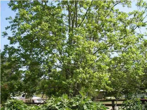 5677 Henley Rd, Milton, FL 32570 photo 16