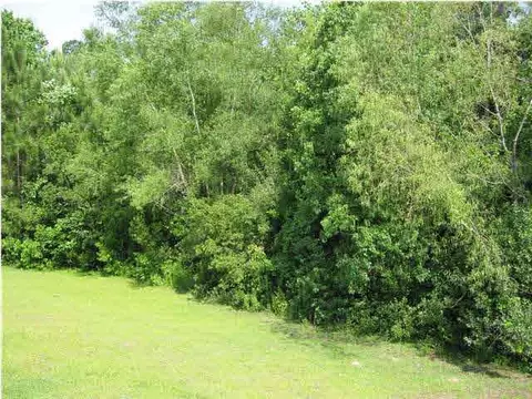 3569 S Hampton Way, Pace, FL 32571 photo 23